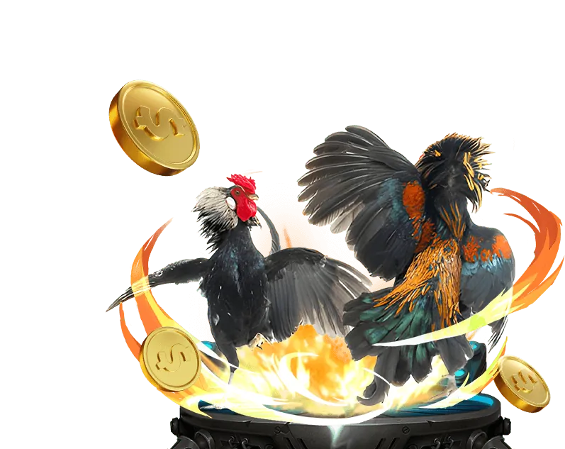 Hướng dẫn đăng nhập 88casino và các bước chơi đá gà